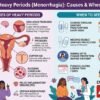 Heavy Periods: Causes and When to See a Doctor